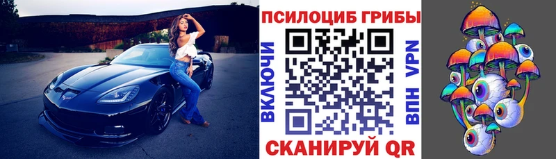 Псилоцибиновые грибы Psilocybine cubensis  mega рабочий сайт  Пудож  магазин продажи  