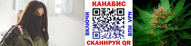 Бошки Шишки SATIVA & INDICA  дарнет шоп  Пудож 